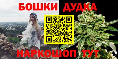 крисы Партизанск