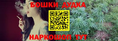 крисы Партизанск