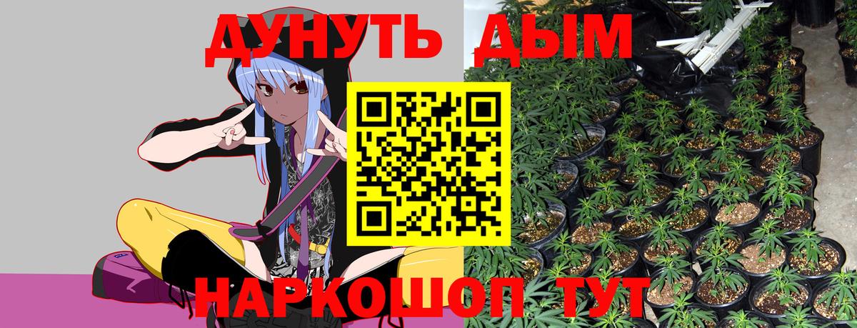 Бошки Шишки семена Соликамск